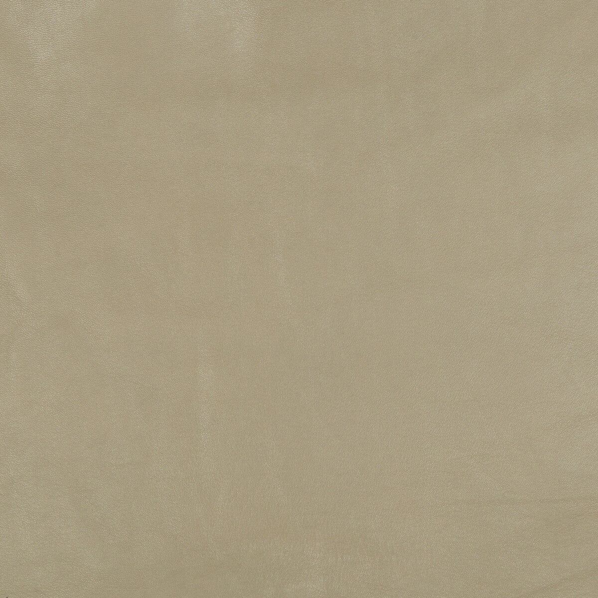 Clancy-Taupe