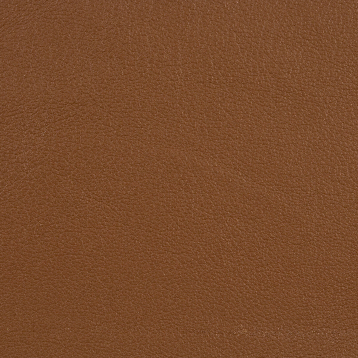 L-Cobbler-Walnut
