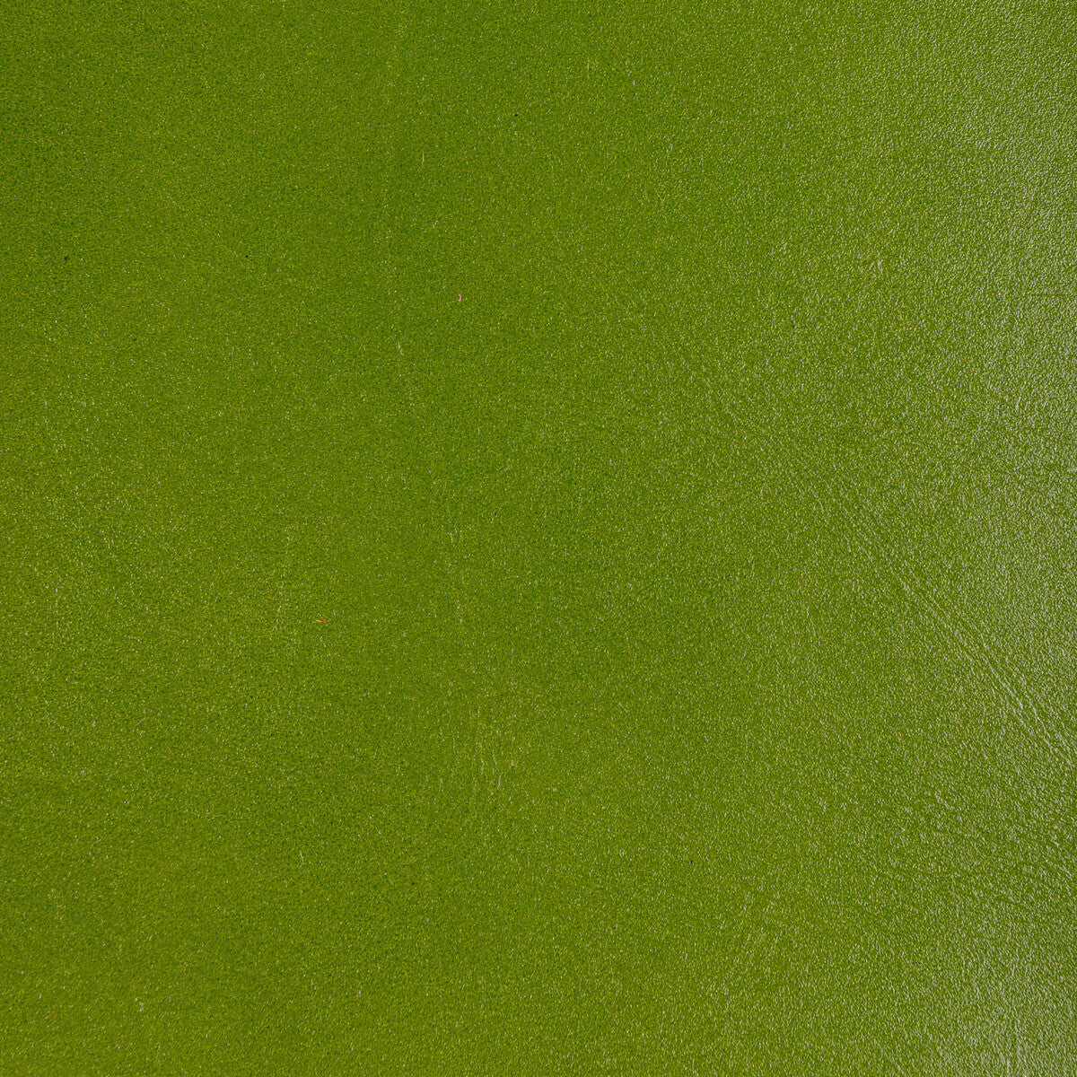 Kravet Design-L-Coffer-Lime
