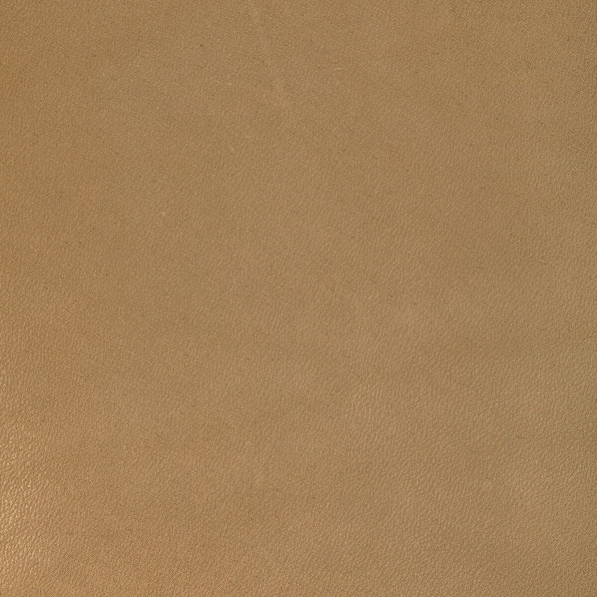 Kravet Design-L-Coiro-Camel