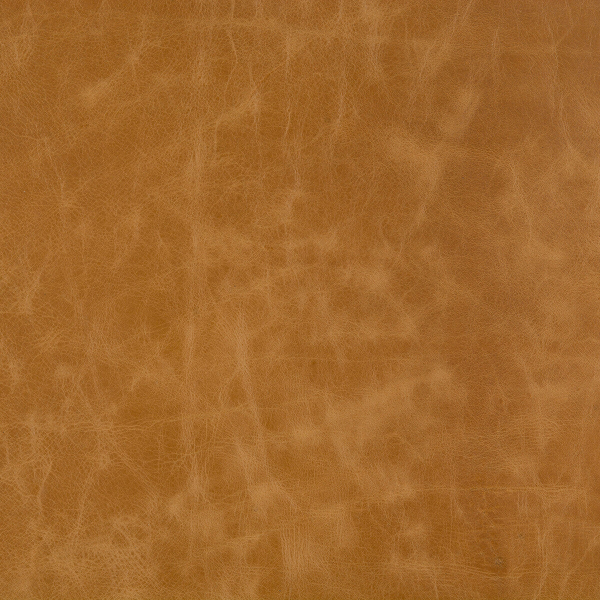 Kravet Design-L-Cuero-Adobe