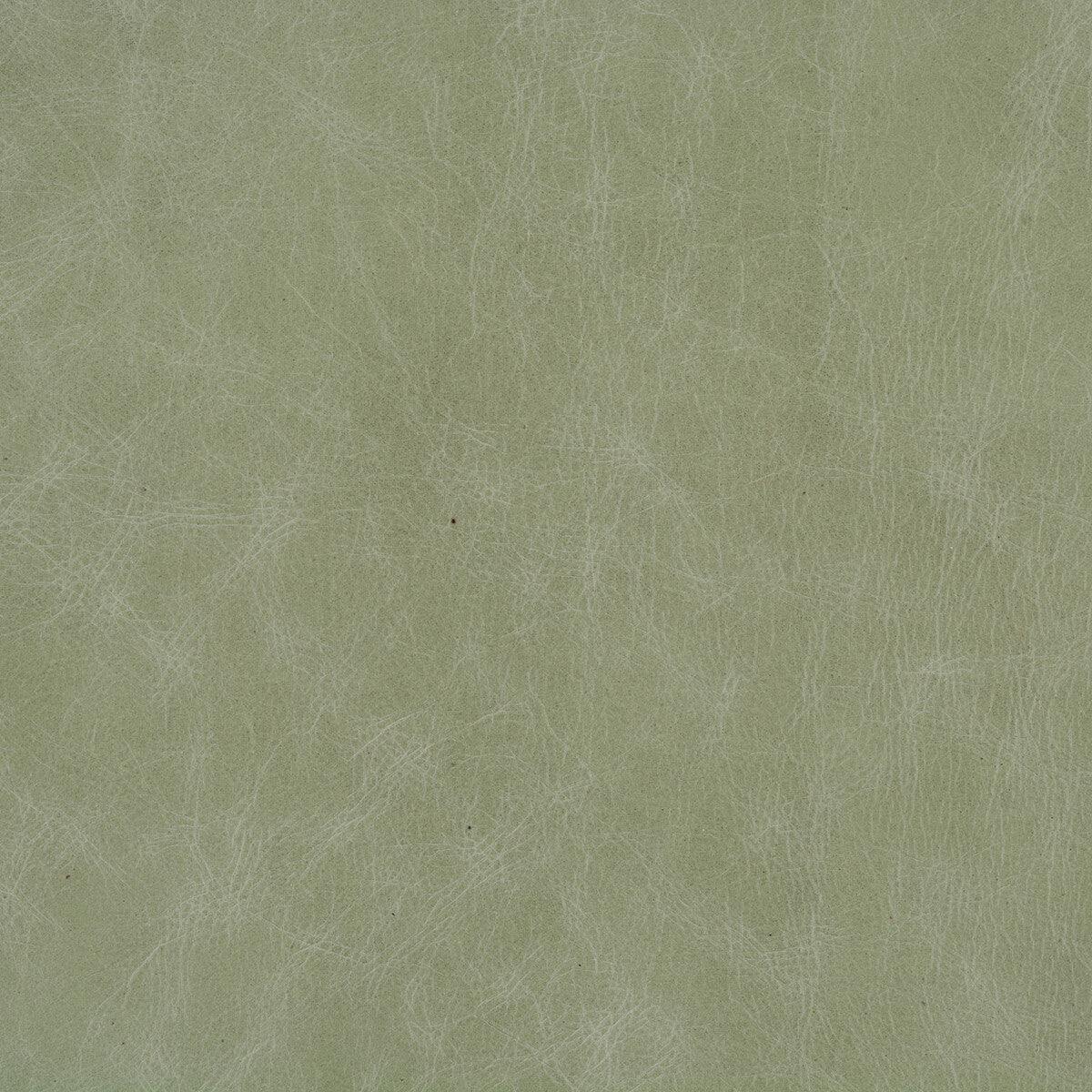 Kravet Design-L-Cuero-Eucalyptus
