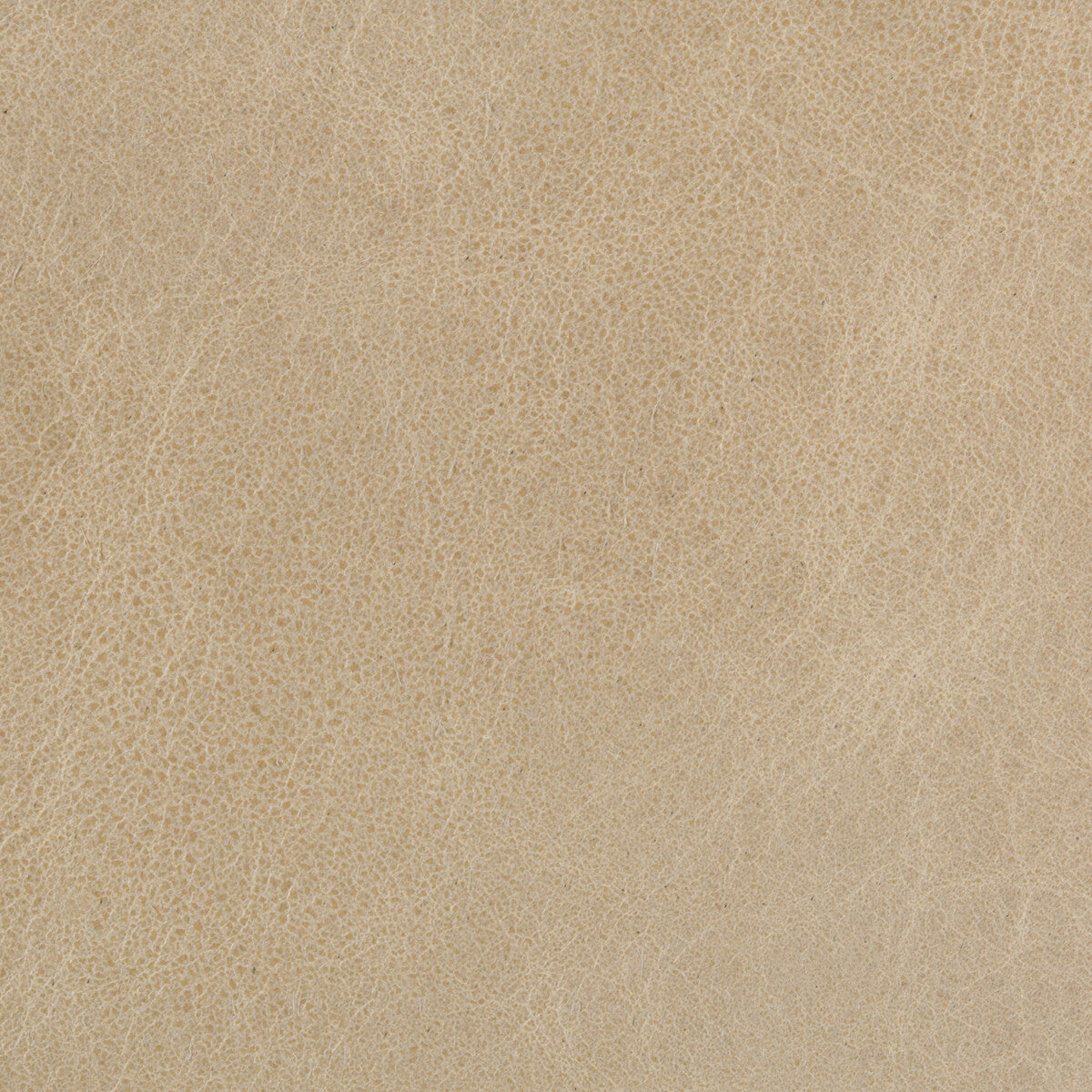 Kravet Couture-L-Davos-Oatmeal