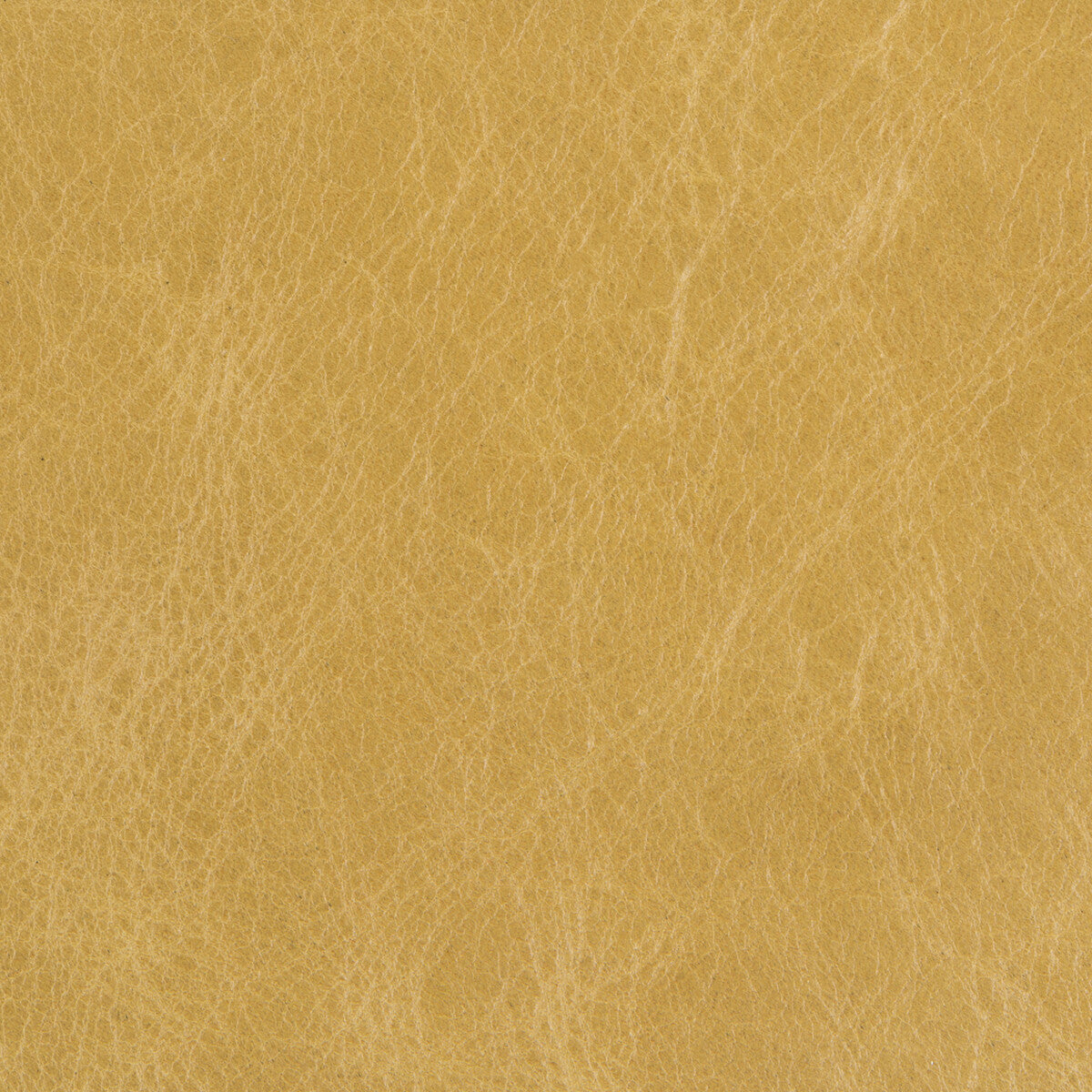 Kravet Couture-L-Davos-Sap