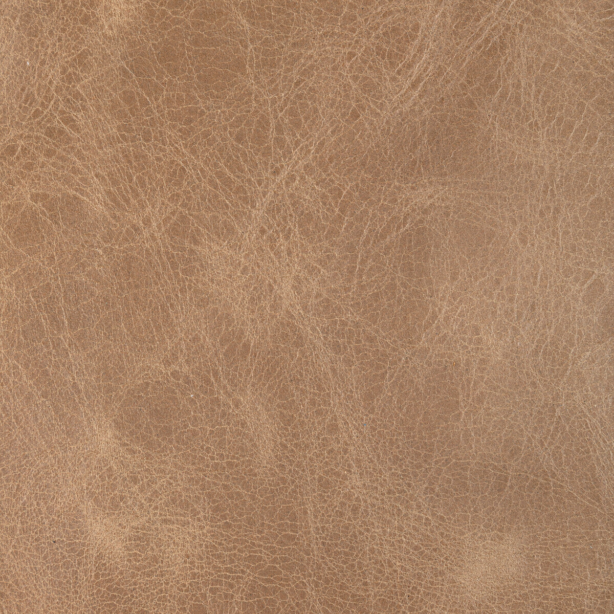 Kravet Design-L-Drovers-Peanut