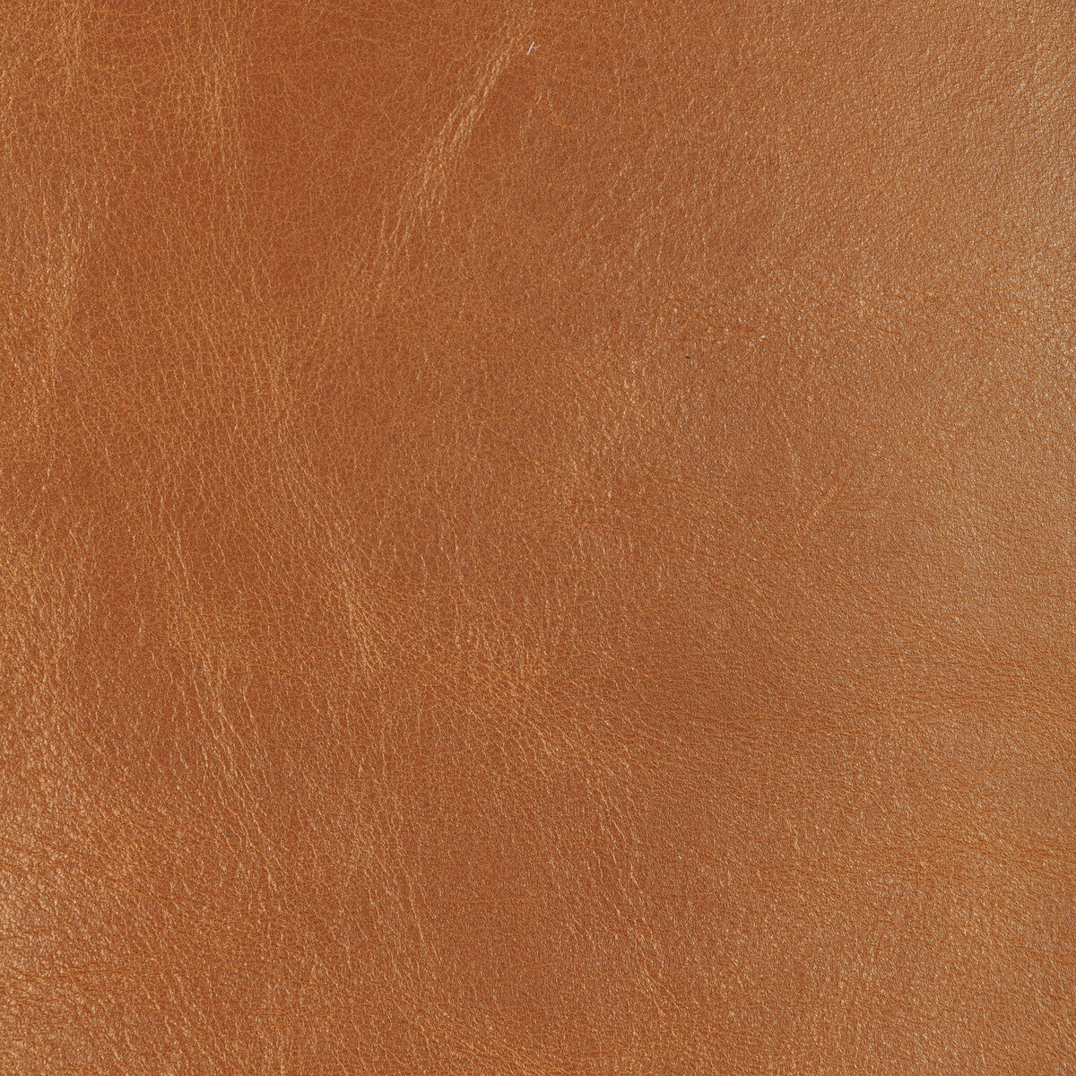 Kravet Design-L-Drovers-Saddle