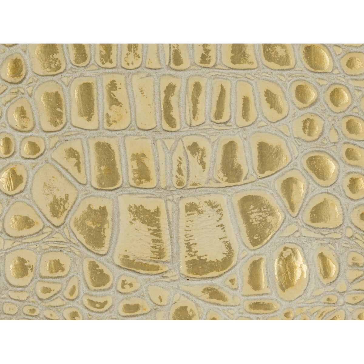 Gator-White Gold