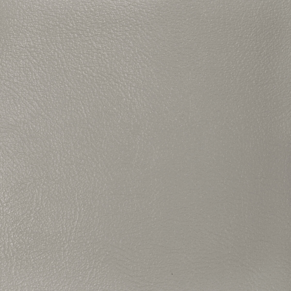 L-Glisten-Nickel-