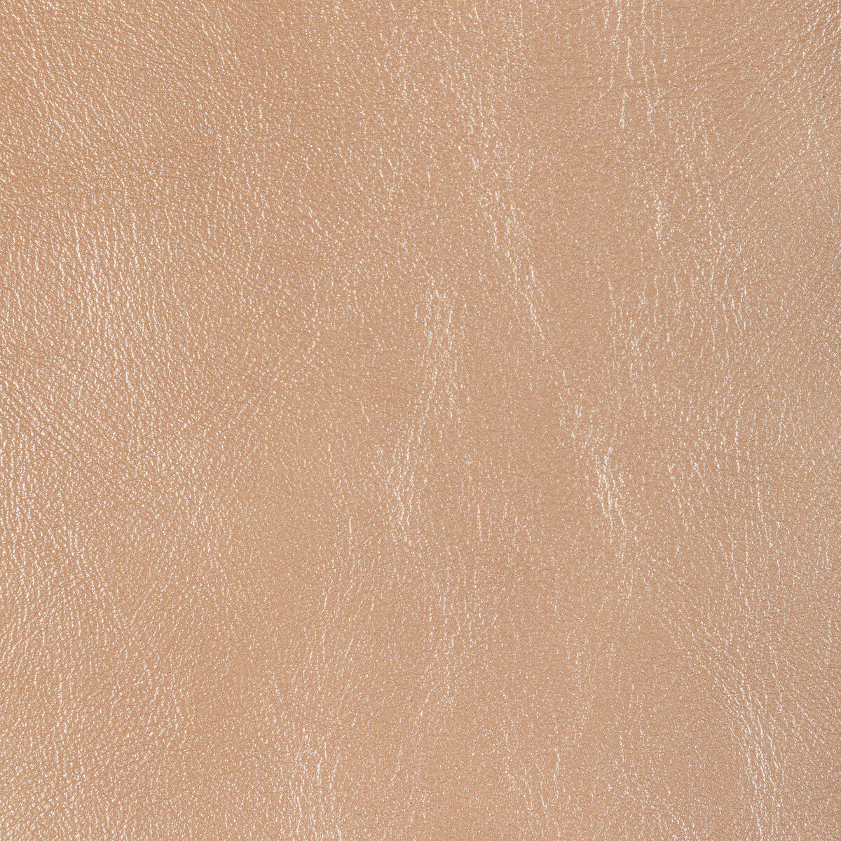 L-Glisten-Nude-