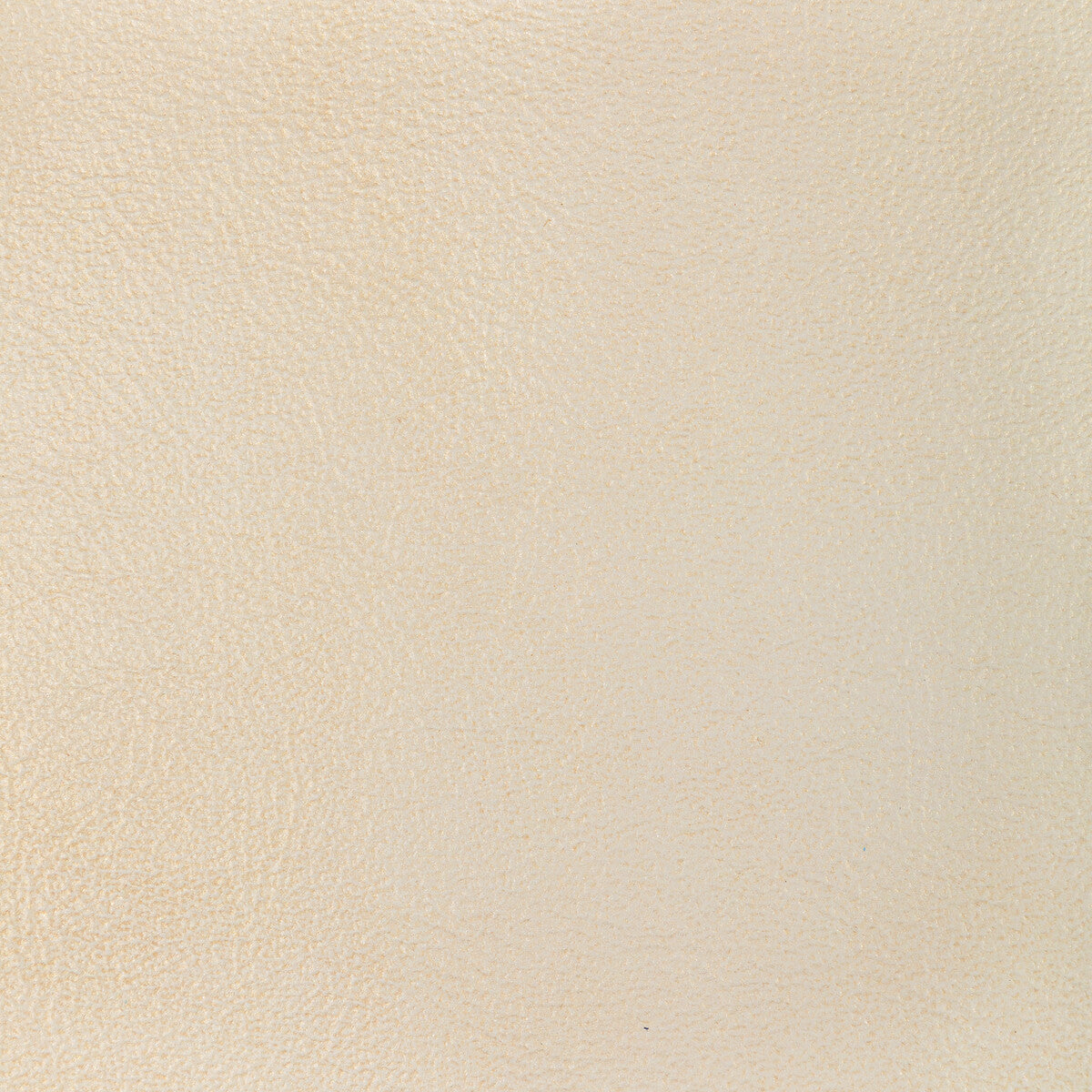 L-Glisten-Seashell-