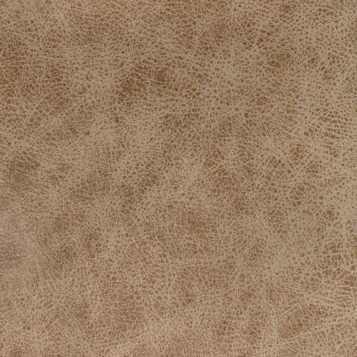 Kravet Design-L-Grange-Camel
