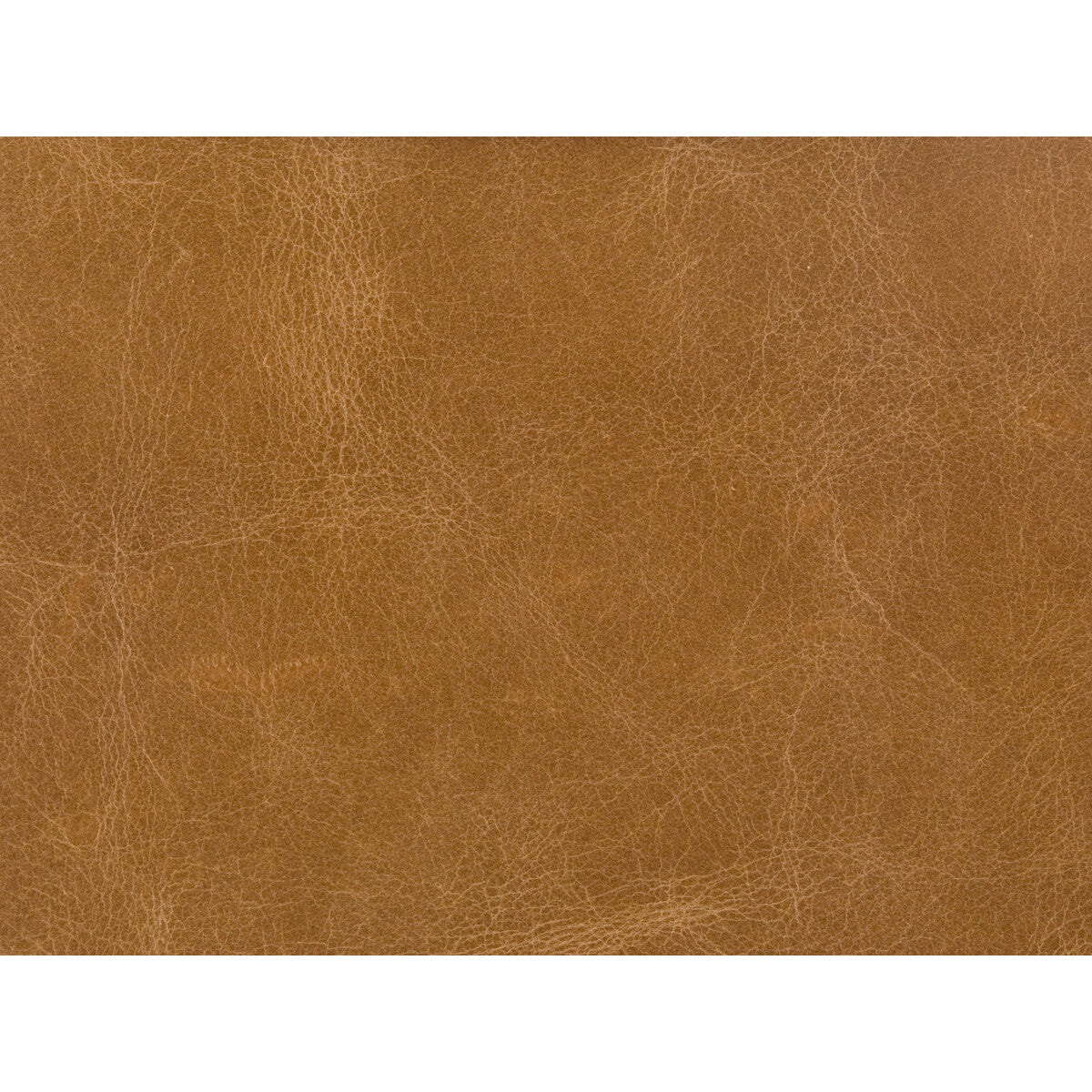 Kravet Couture-L-Haute-Camel
