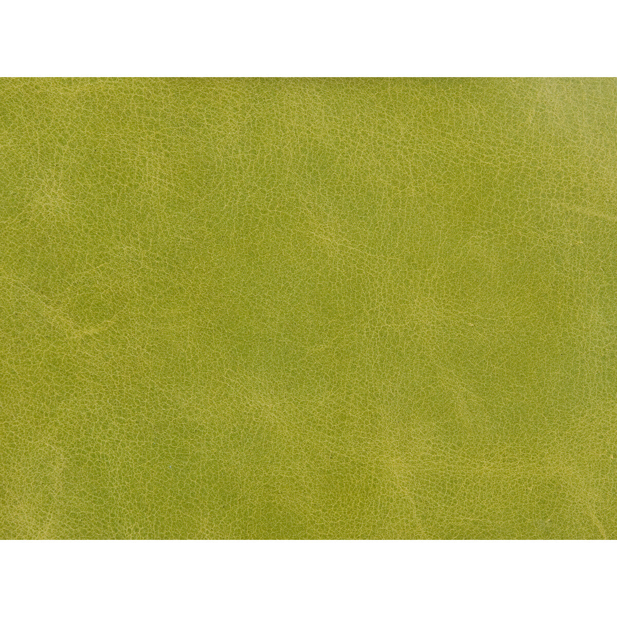 Kravet Couture-L-Haute-Chartreuse