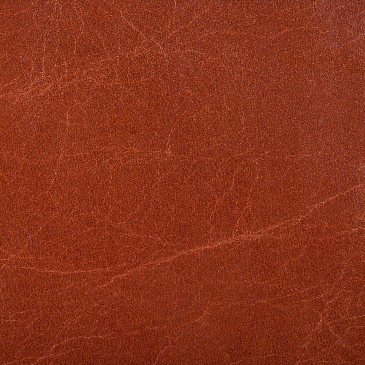 Kravet Couture-L-Haute-Madder