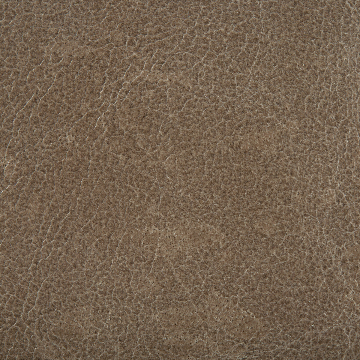 Kravet Couture-L-Haute-Shale