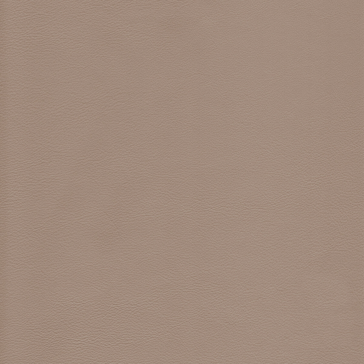 Kravet Design-L-Howdy-Beach