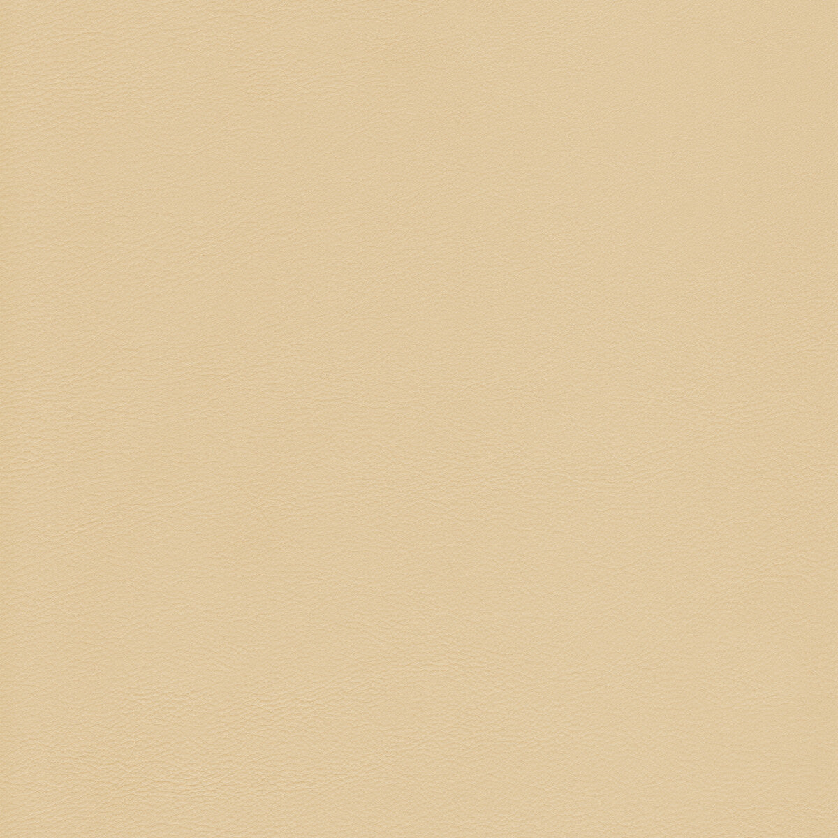 Kravet Design-L-Howdy-Butter