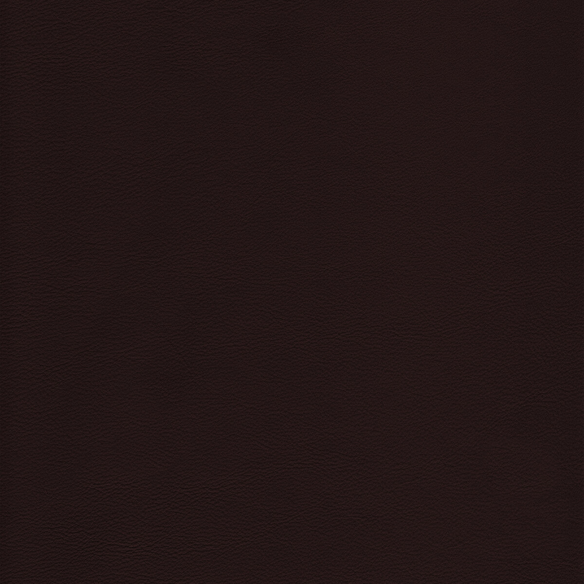 Kravet Design-L-Howdy-Chocolate
