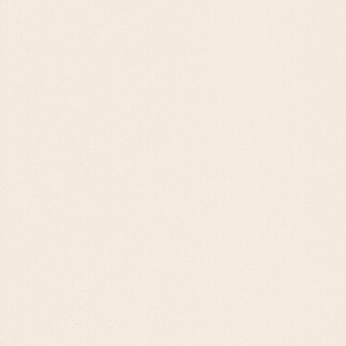 Kravet Design-L-Howdy-Cream