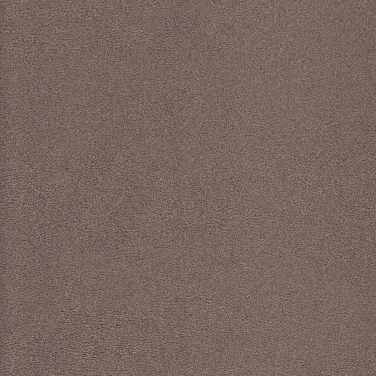 Kravet Design-L-Howdy-Dolphin