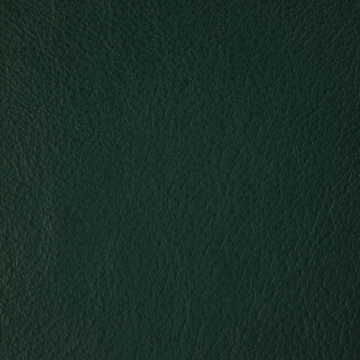 Kravet Design-L-Howdy-Emerald
