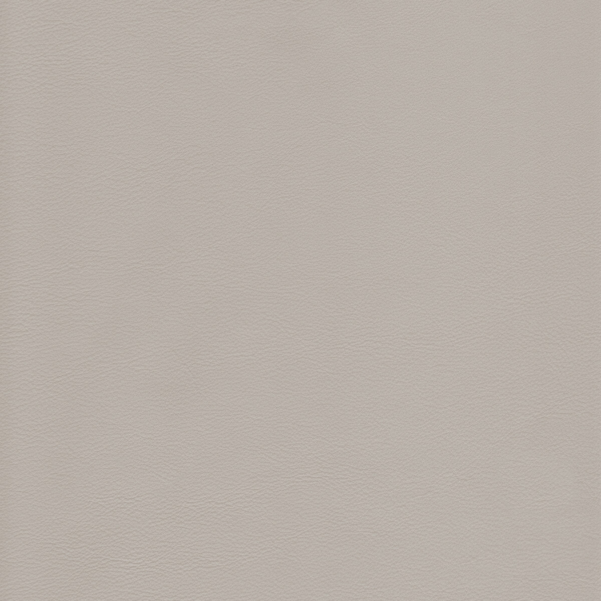 Kravet Design-L-Howdy-Grey