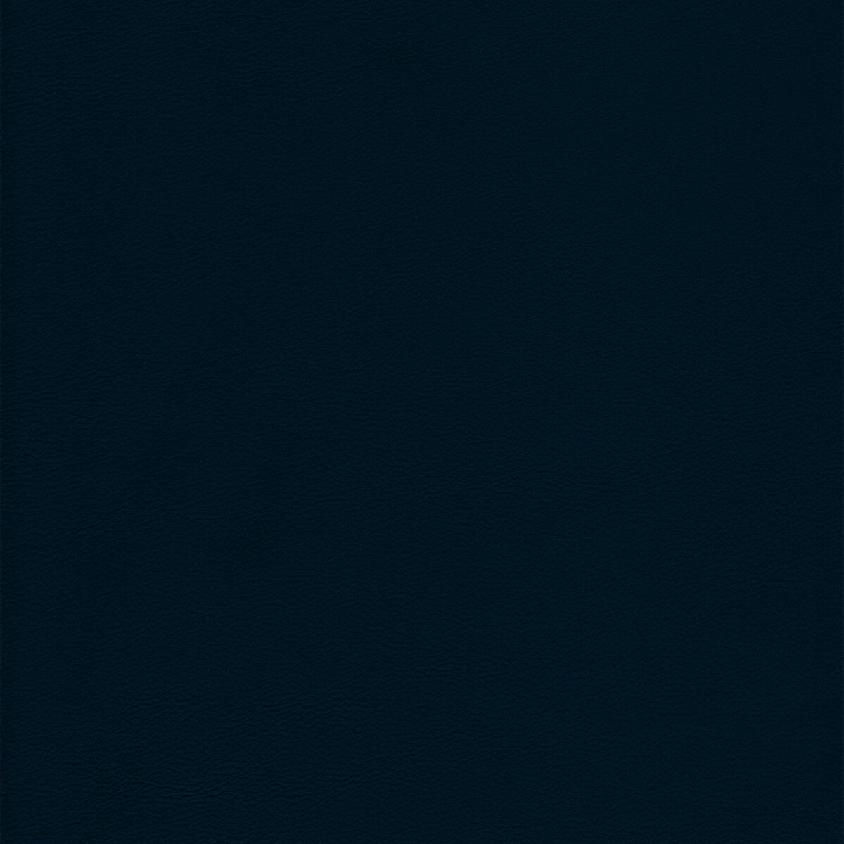 Kravet Design-L-Howdy-Indigo