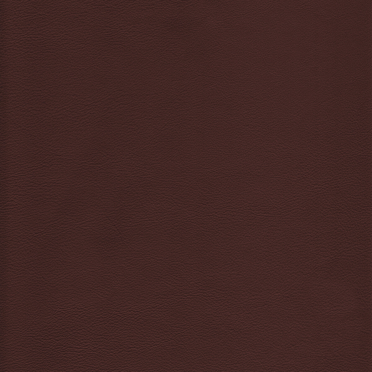 Kravet Design-L-Howdy-Latte
