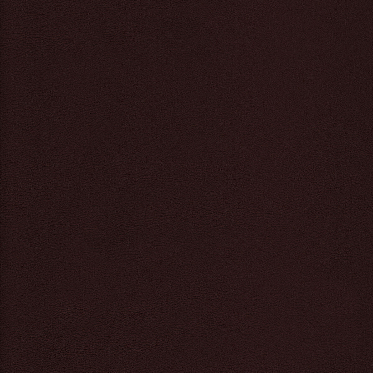 Kravet Design-L-Howdy-Mocha