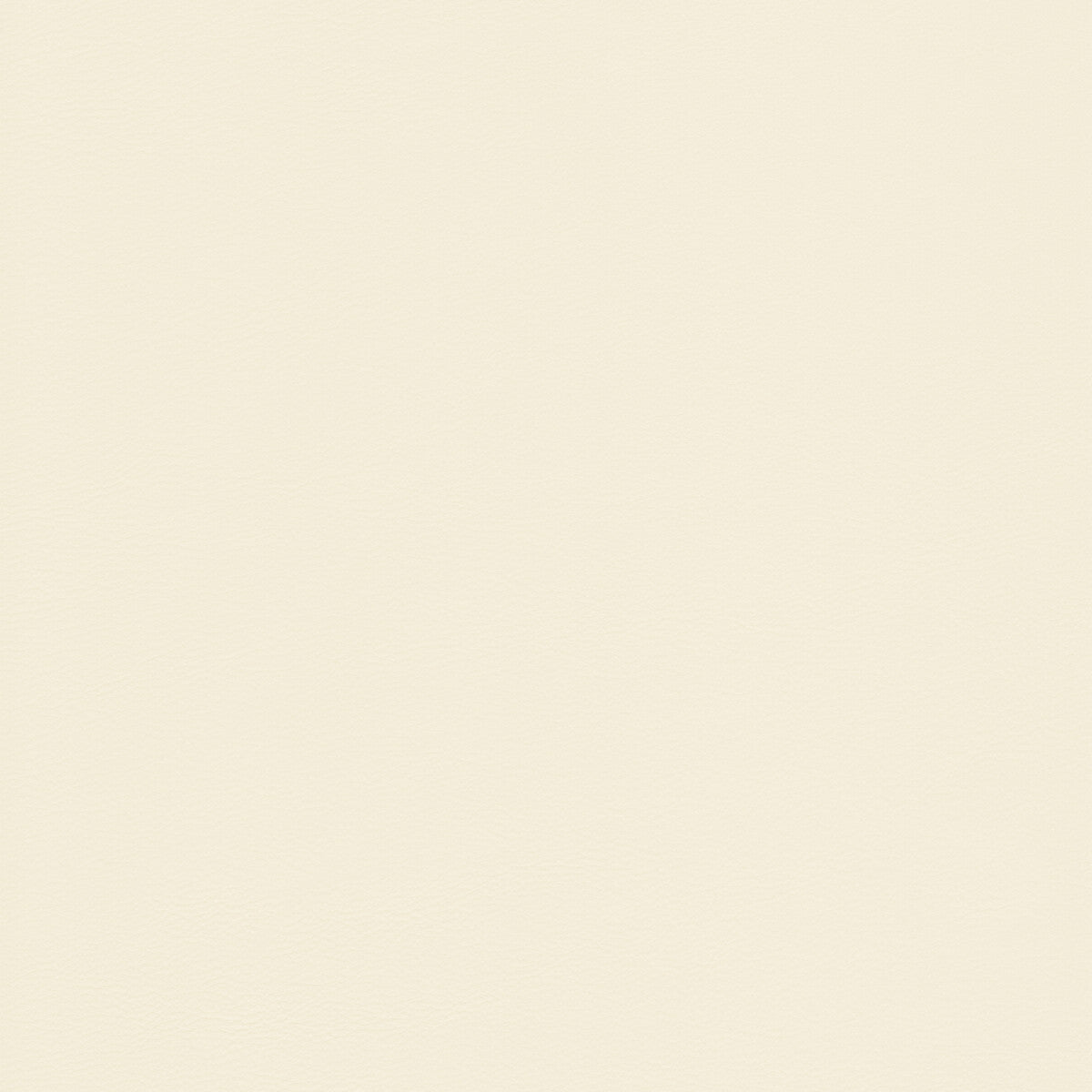 Kravet Design-L-Howdy-Oyster