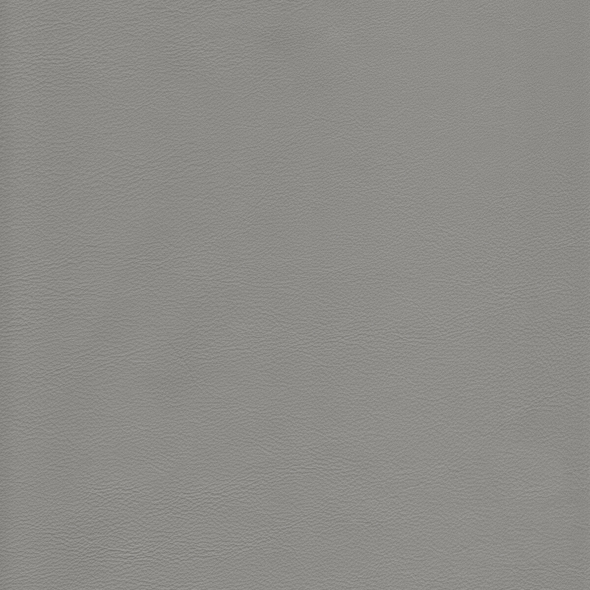 Kravet Design-L-Howdy-Putty