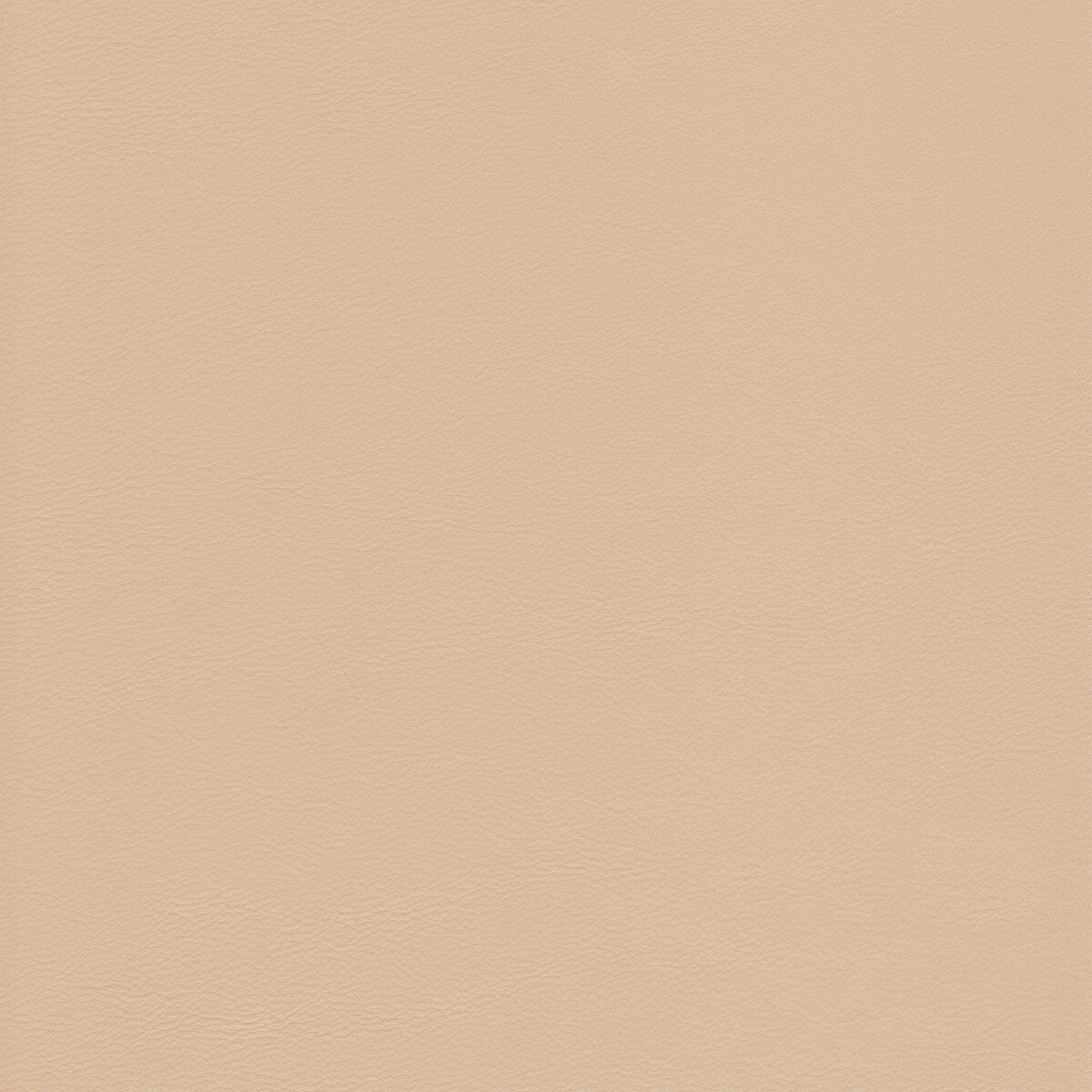 Kravet Design-L-Howdy-Sand