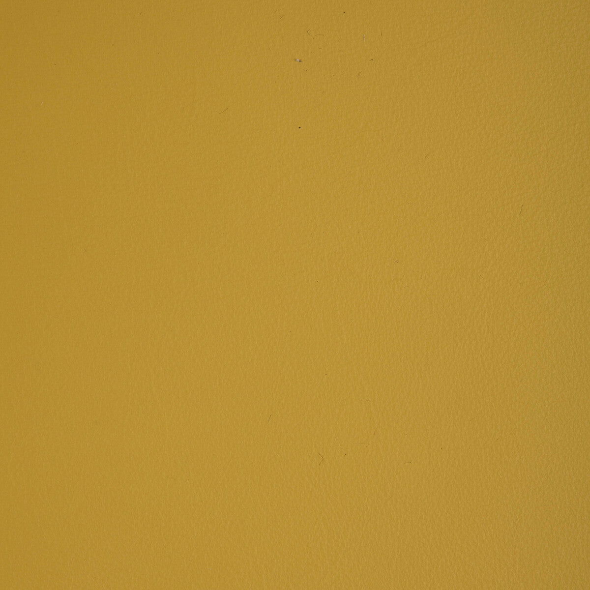 Kravet Design-L-Howdy-Sunshine