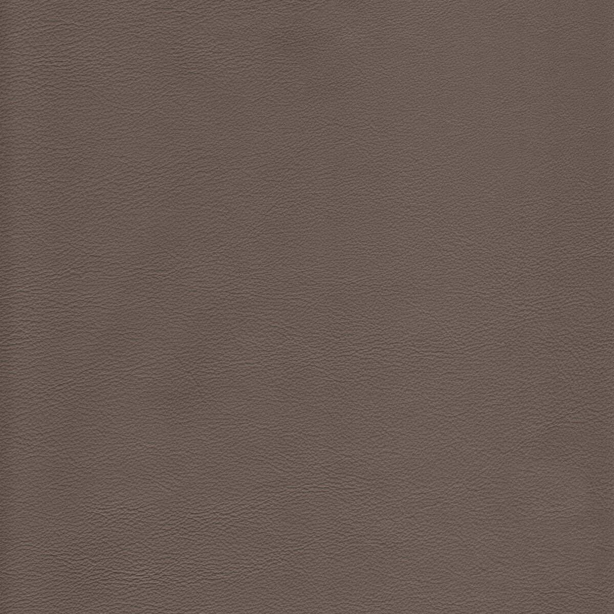 Kravet Design-L-Howdy-Taupe
