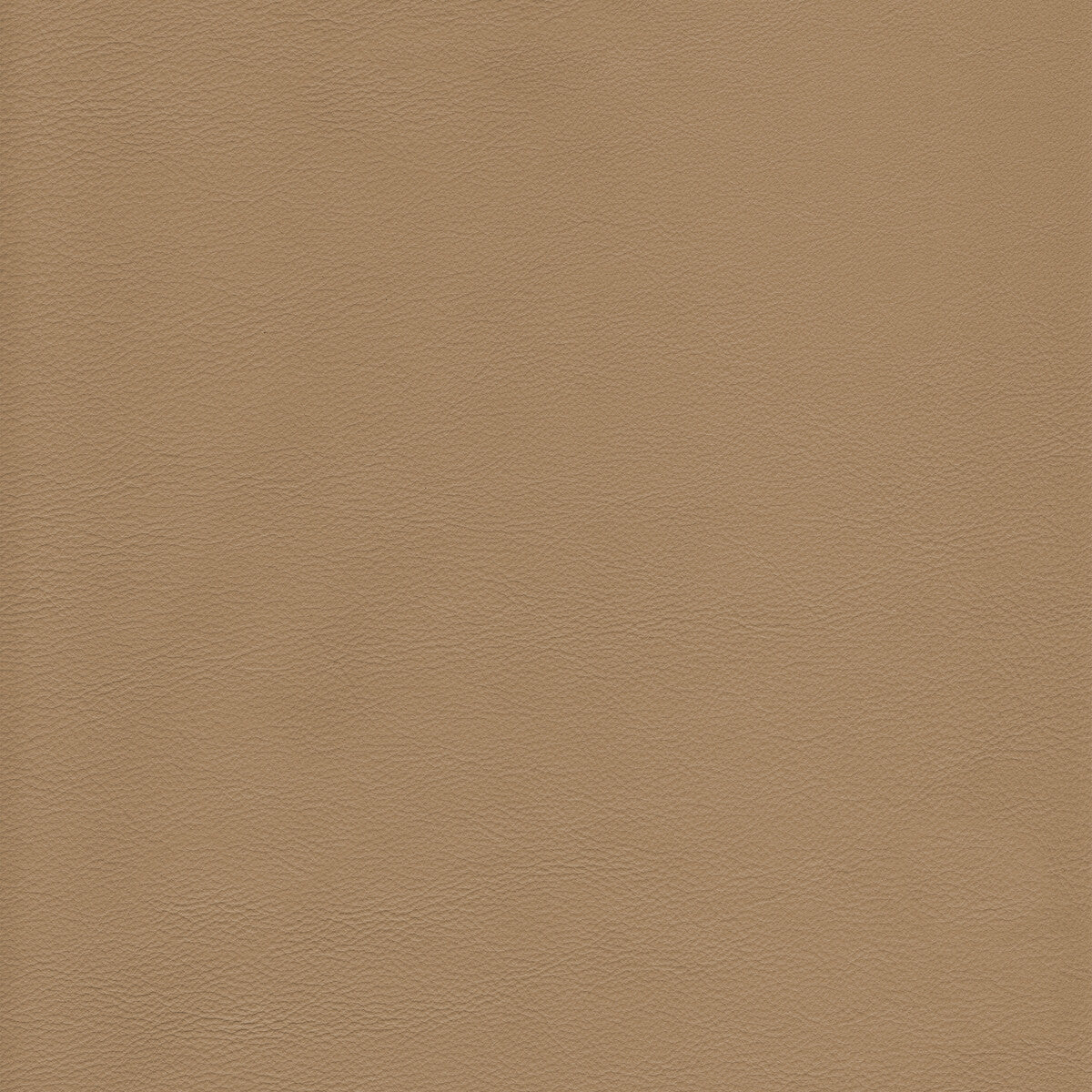 Kravet Design-L-Howdy-Tea