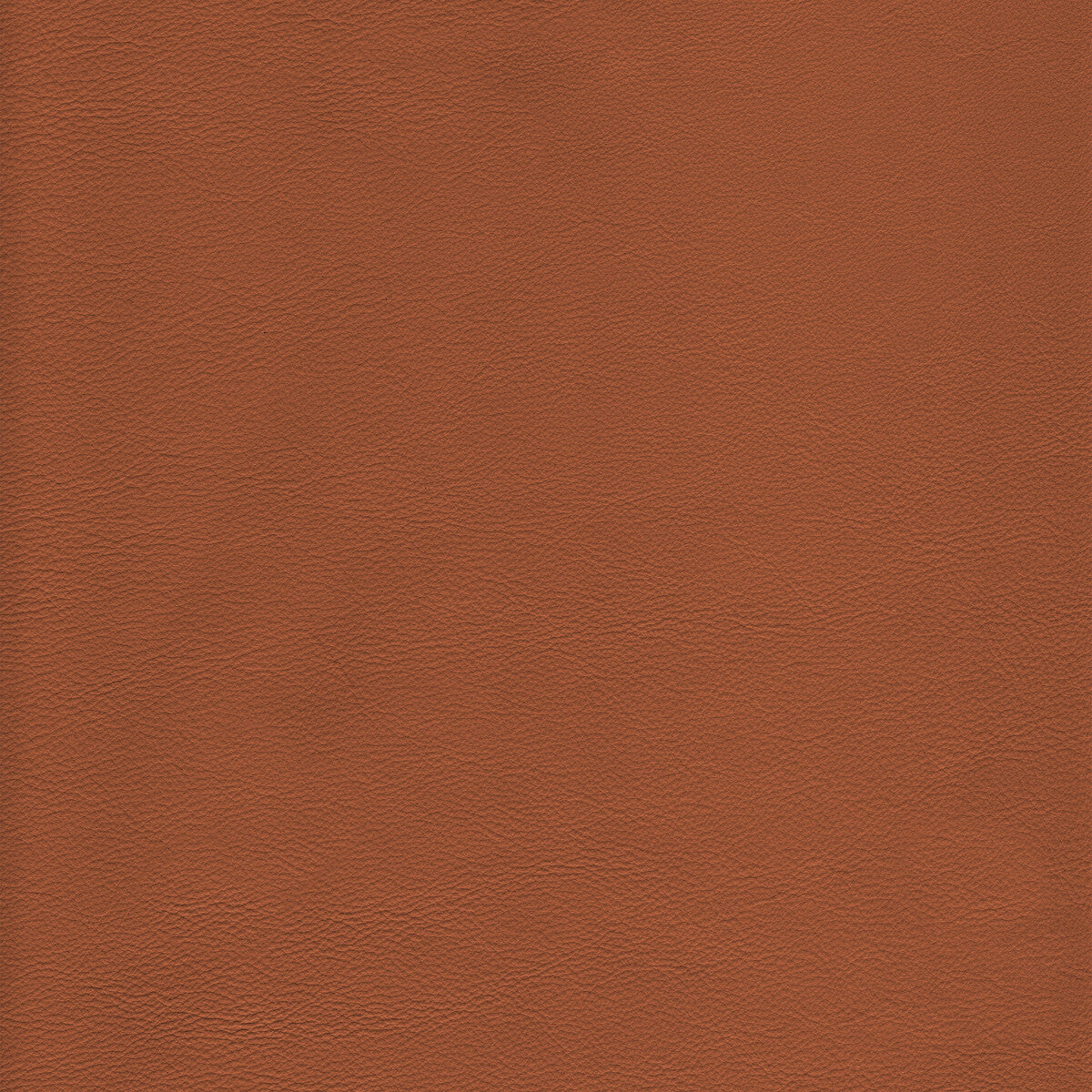 Kravet Design-L-Howdy-Toffee