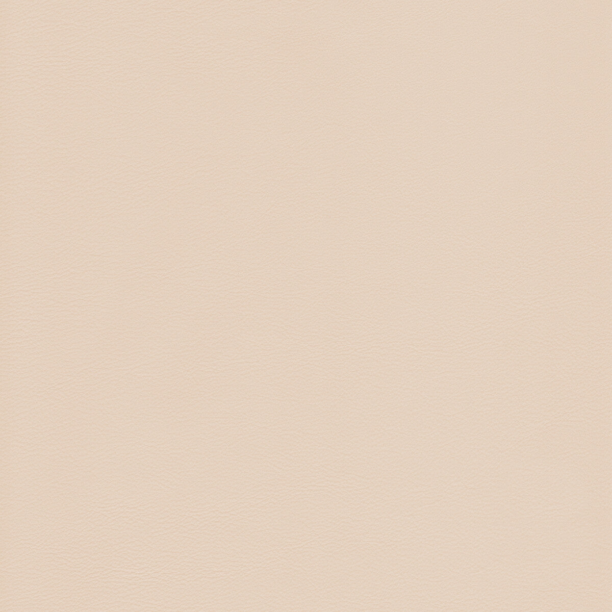 Kravet Design-L-Howdy-Tusk