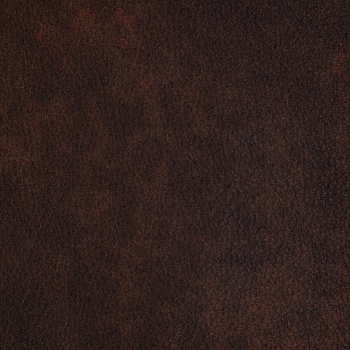 Kravet Design-L-Laramie-Cedar