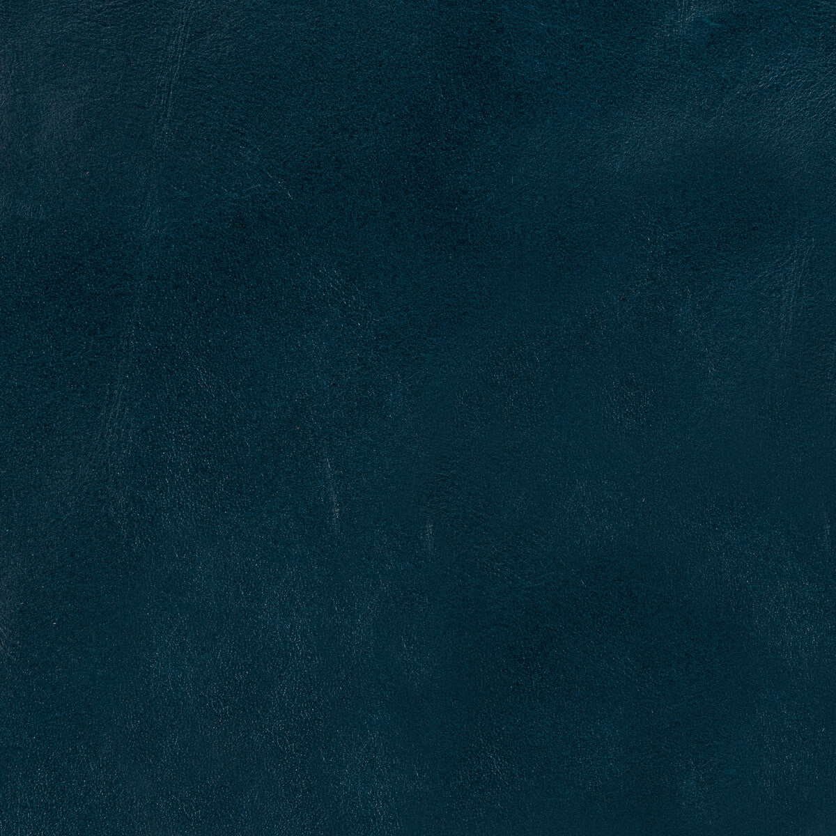 Kravet Design-L-Lobo-Aegean