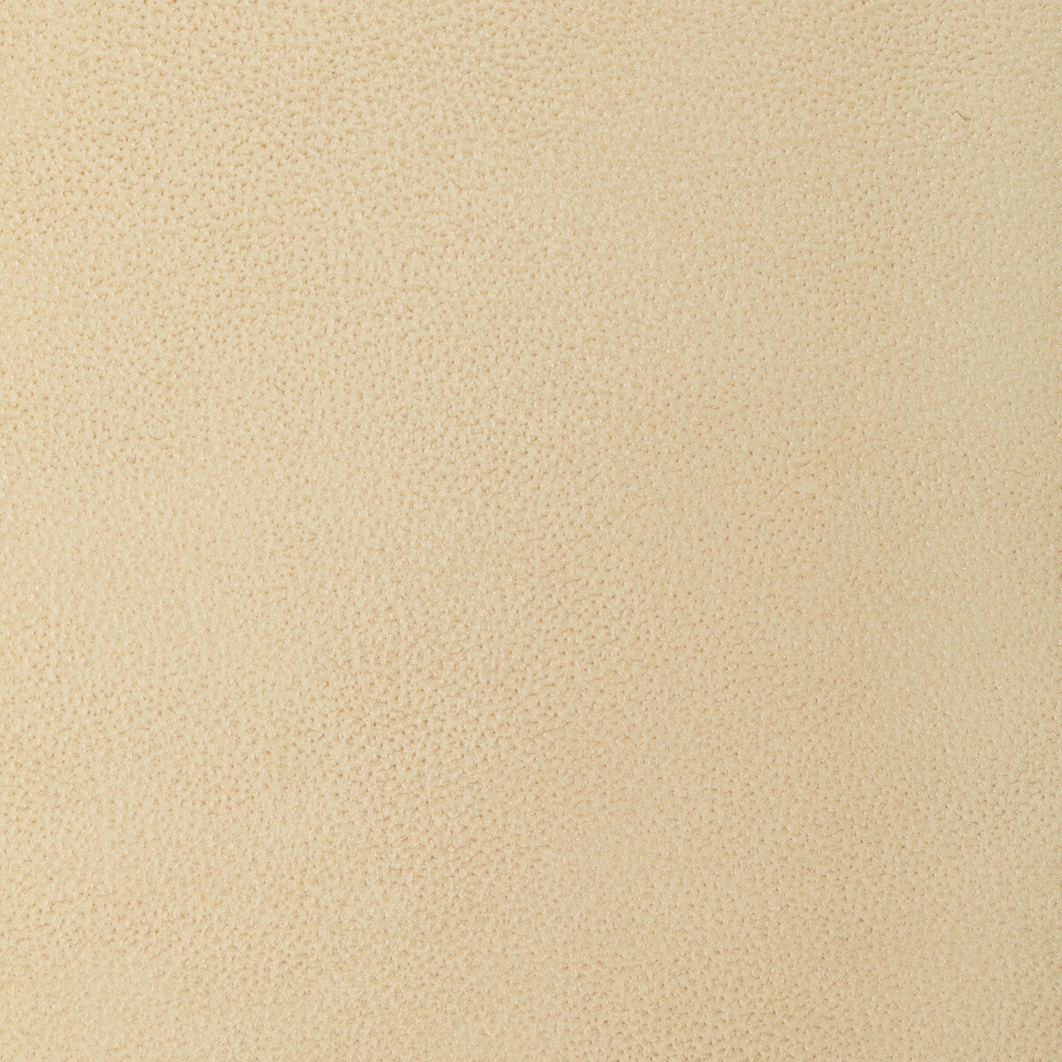 Kravet Design-L-Loma-Buttermilk