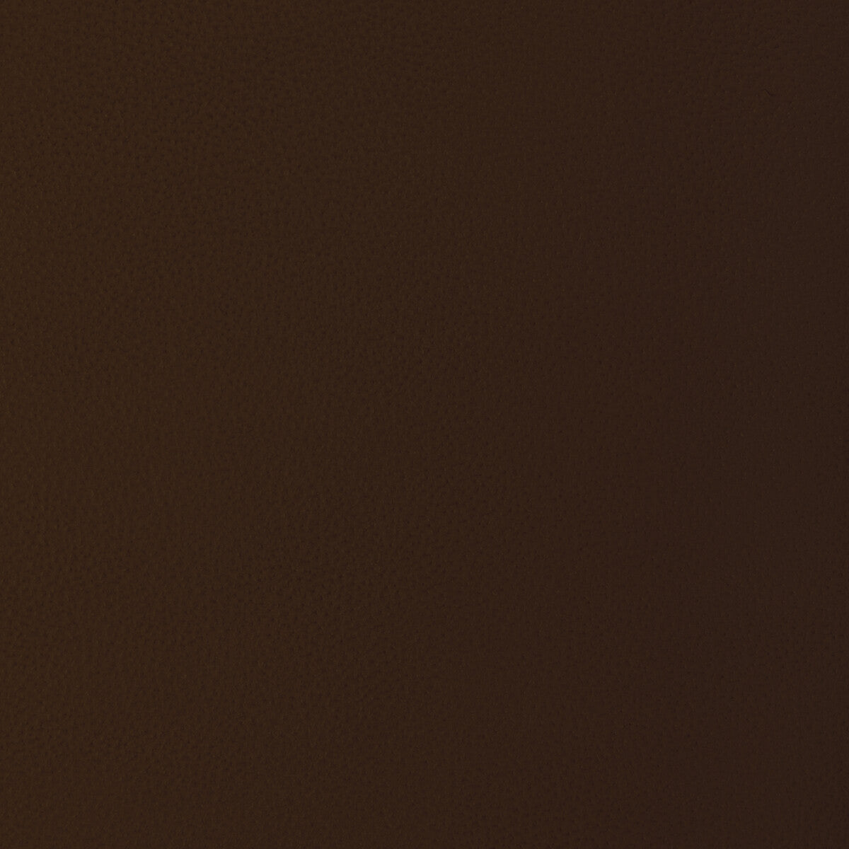 Kravet Design-L-Loma-Mocha