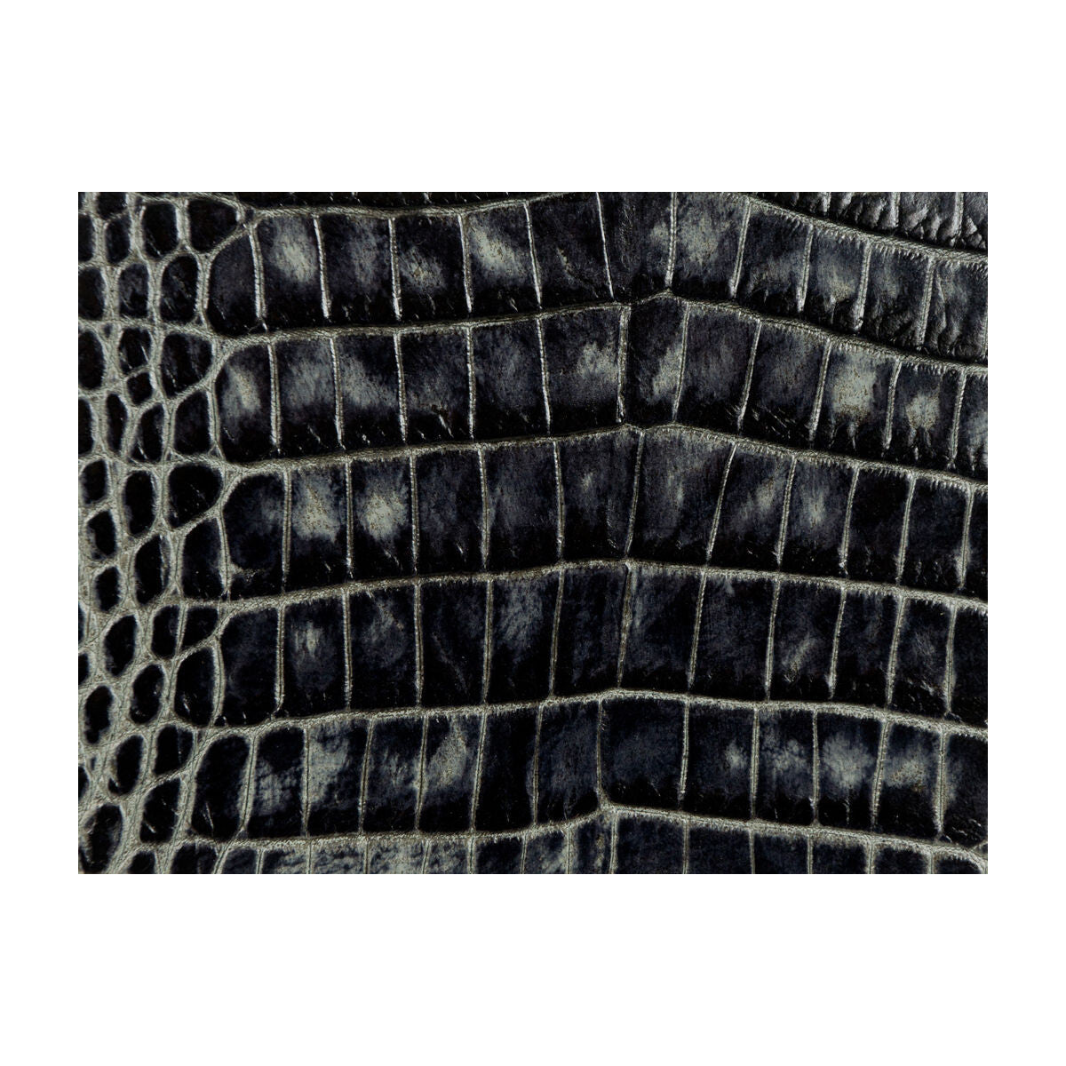 Kravet Couture-L-Madrid-Flint