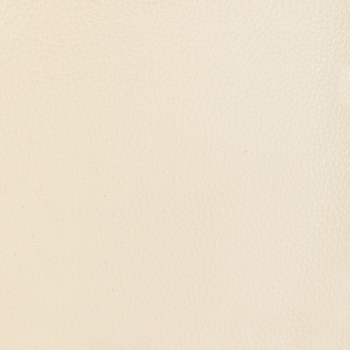 Kravet Design-L-Malpais-Ivory