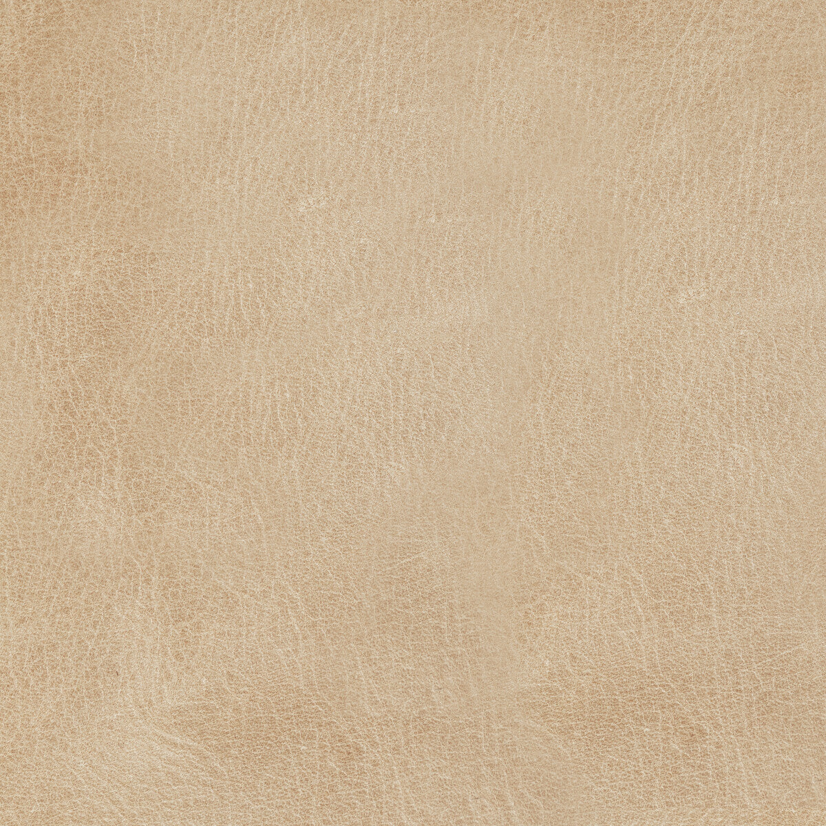 Kravet Design-L-Mane-Drift