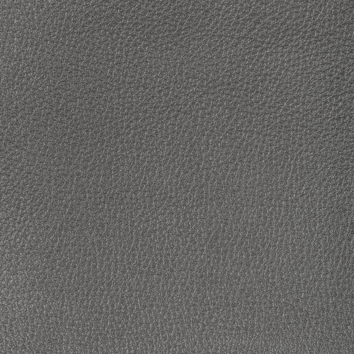 Kravet Design-L-Manta-Iron