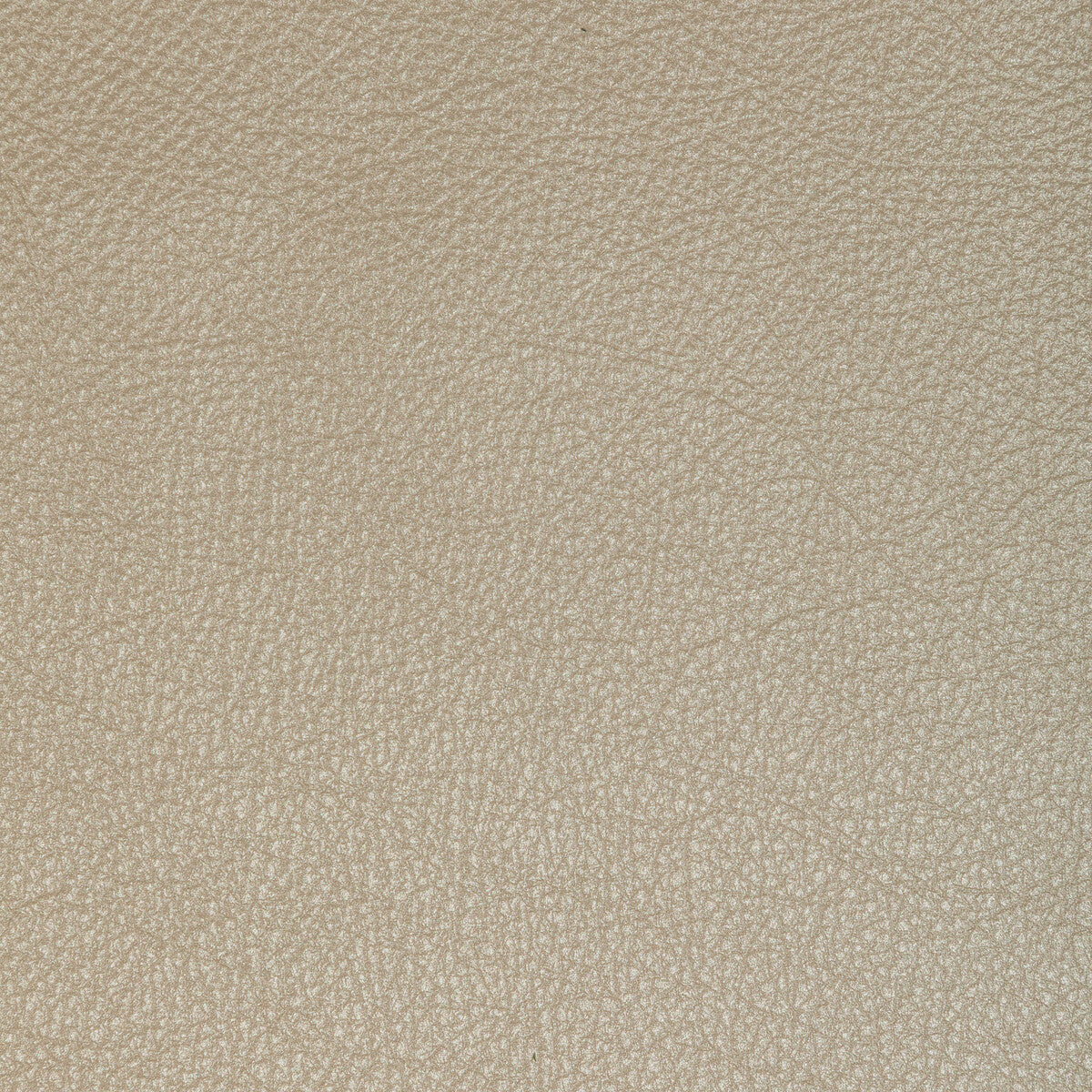 Kravet Design-L-Manta-Oyster