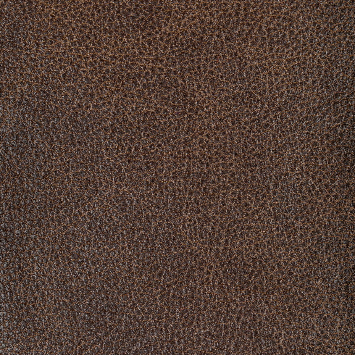 Kravet Design-L-Nambe-Cocoa