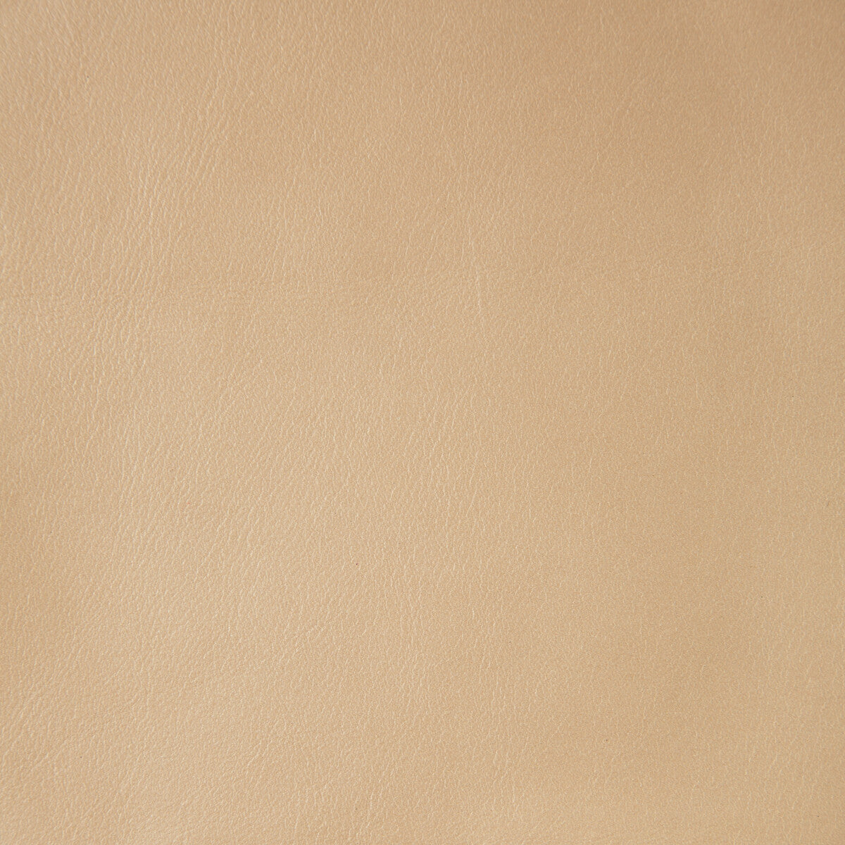 Kravet Design-L-Namib-Sand