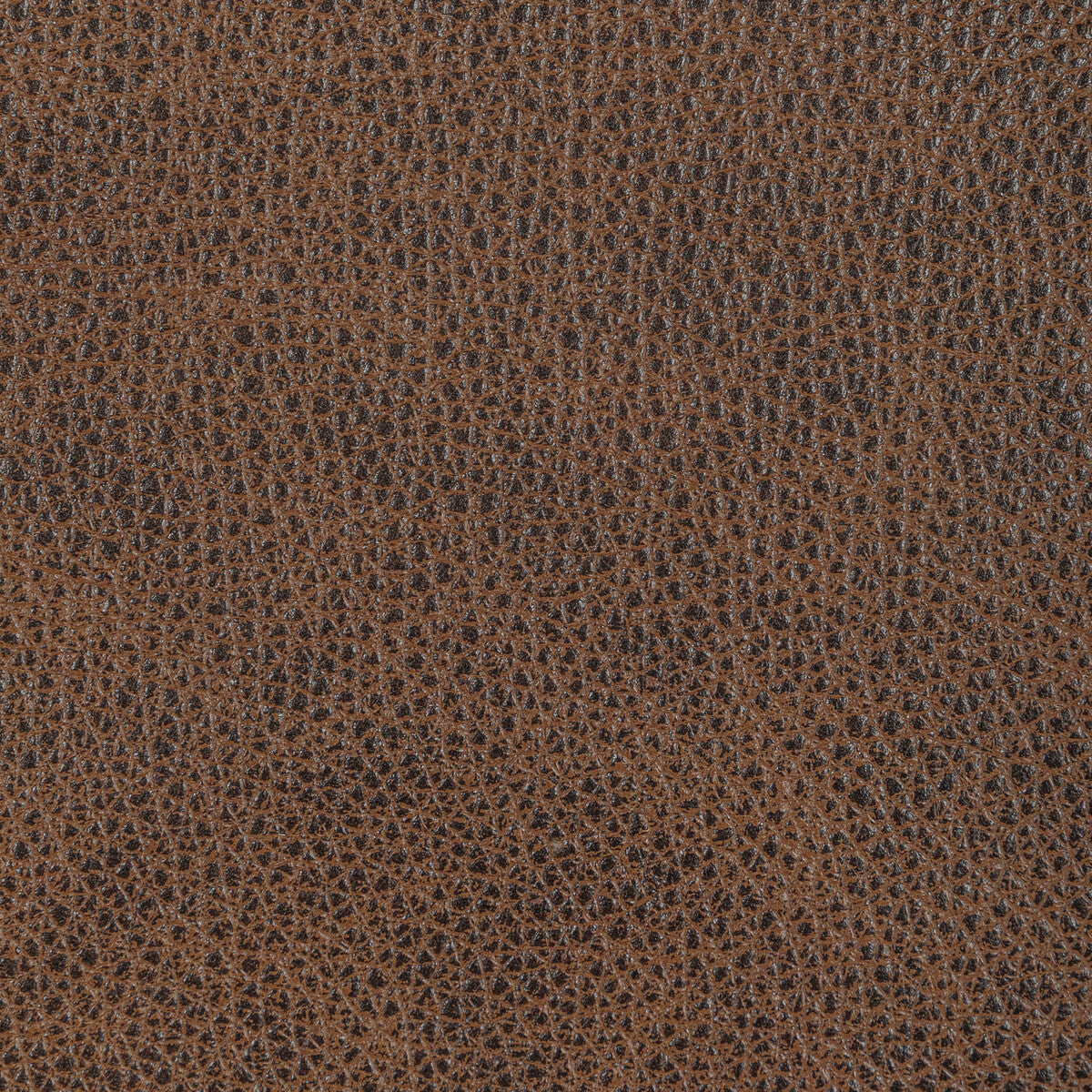 Kravet Design-L-Ogaden-Bistre