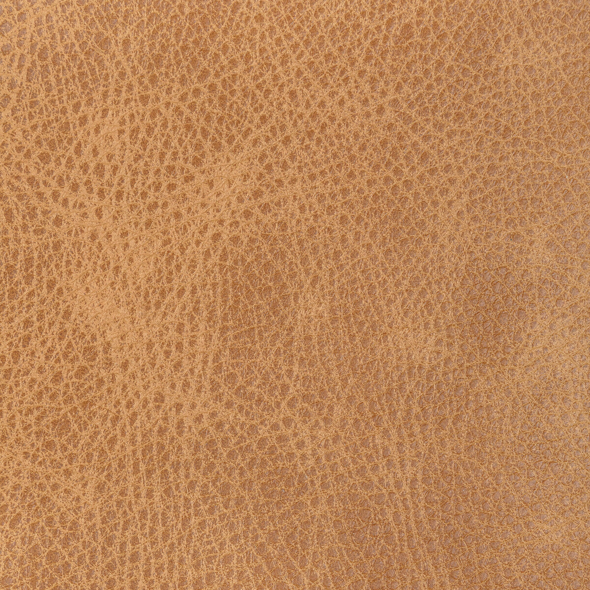 Kravet Design-L-Ope-Fawn